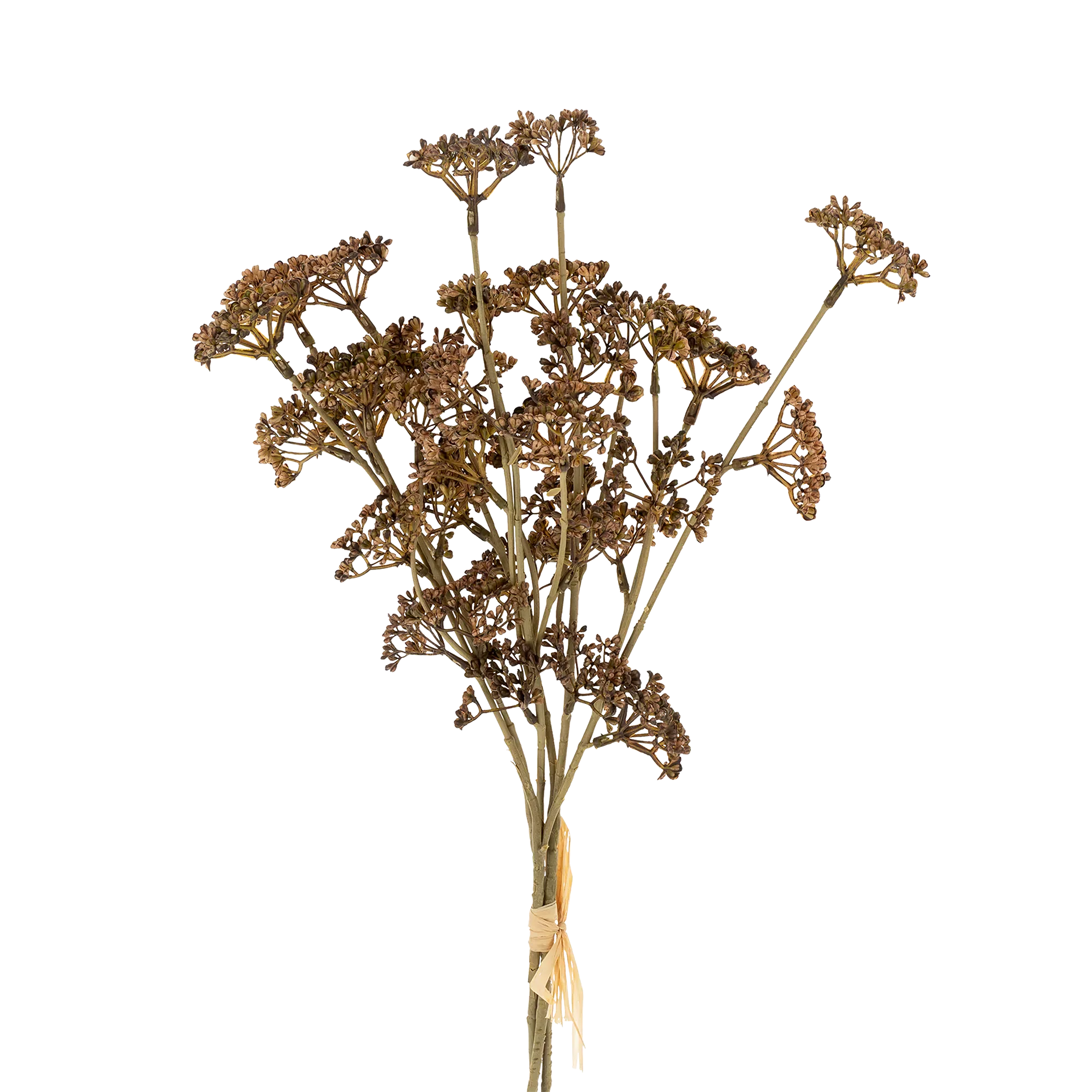 Meadow Grass - Bouquet delicate sprigs
